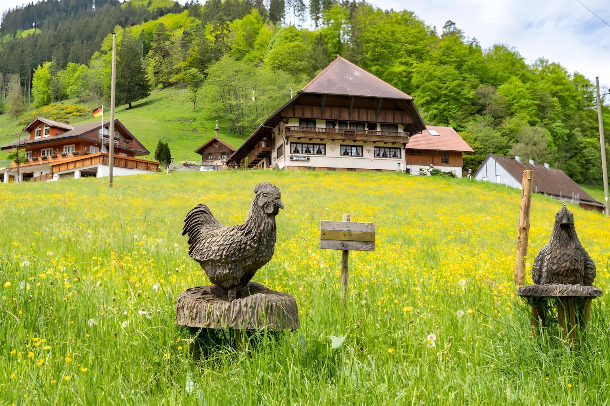 Hotel Josenhof Wolfach Esterno foto